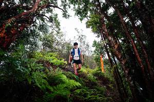 BIB: 
                            <button type="button" onclick="openModal(26201870)" class="btn btn-primary btn-sm float-right btn-popup" data-toggle="modal" data-target=".modal-high-quality">
                        <i class="fas fa-shopping-cart"></i> Add to Cart
                    </button>
                                            <button type="button" onclick="isThisMe(26201870, true)" class="btn btn-success btn-sm float-right btn-popup btn-isme hidden" data-toggle="tooltip" data-placement="bottom" title="นี่คือรูปของคุณใช่ไหม คลิกที่นี่เพื่อเอาเข้าอัลบั้ม">
                        <i class="fas fa-plus"></i> Add to album
                    </button>
                    <button type="button" onclick="isThisMe(26201870, false)" class="btn btn-warning btn-sm float-right btn-popup btn-isnotme hidden">
                        <i class="fas fa-ban"></i> Remove from album
                    </button>